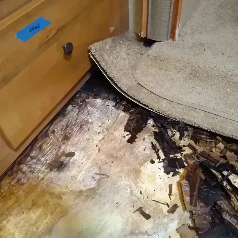 Best Wood Floor Water Damage Service in Cabazon, CA